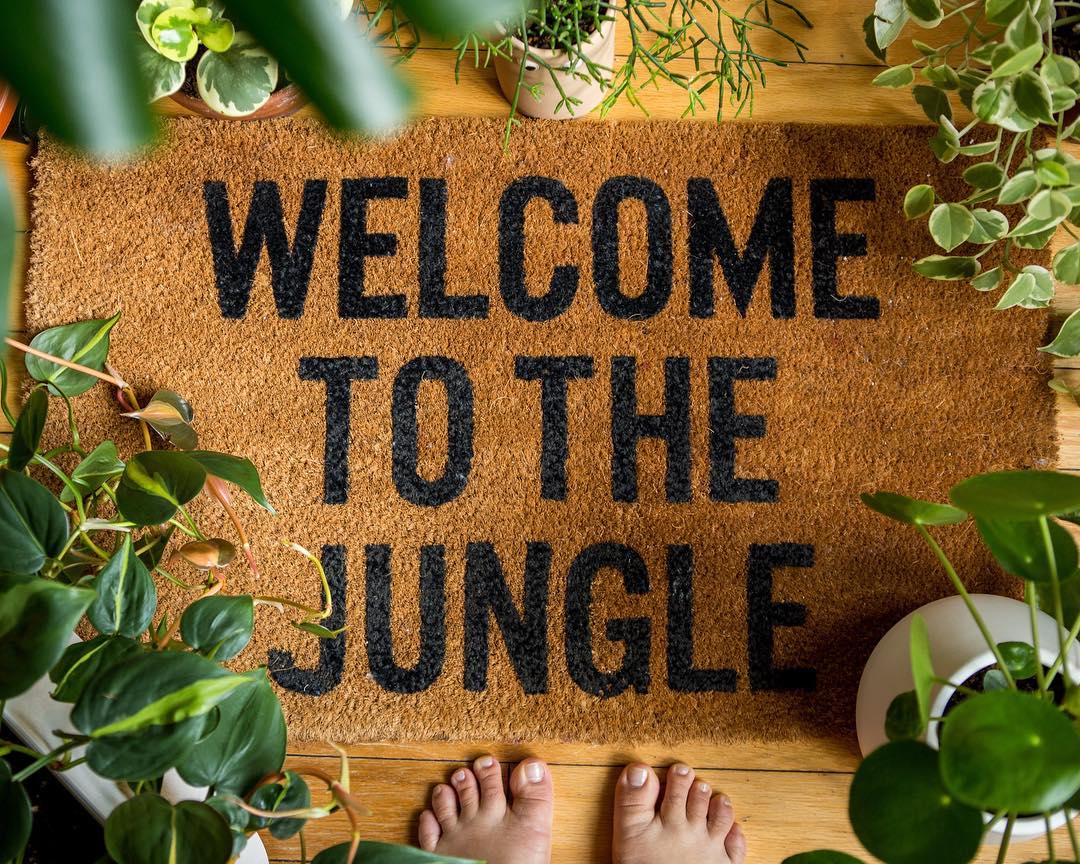 At Home With Welcome to the Jungle Home + Beginner Plant Care Tips - Well Woven