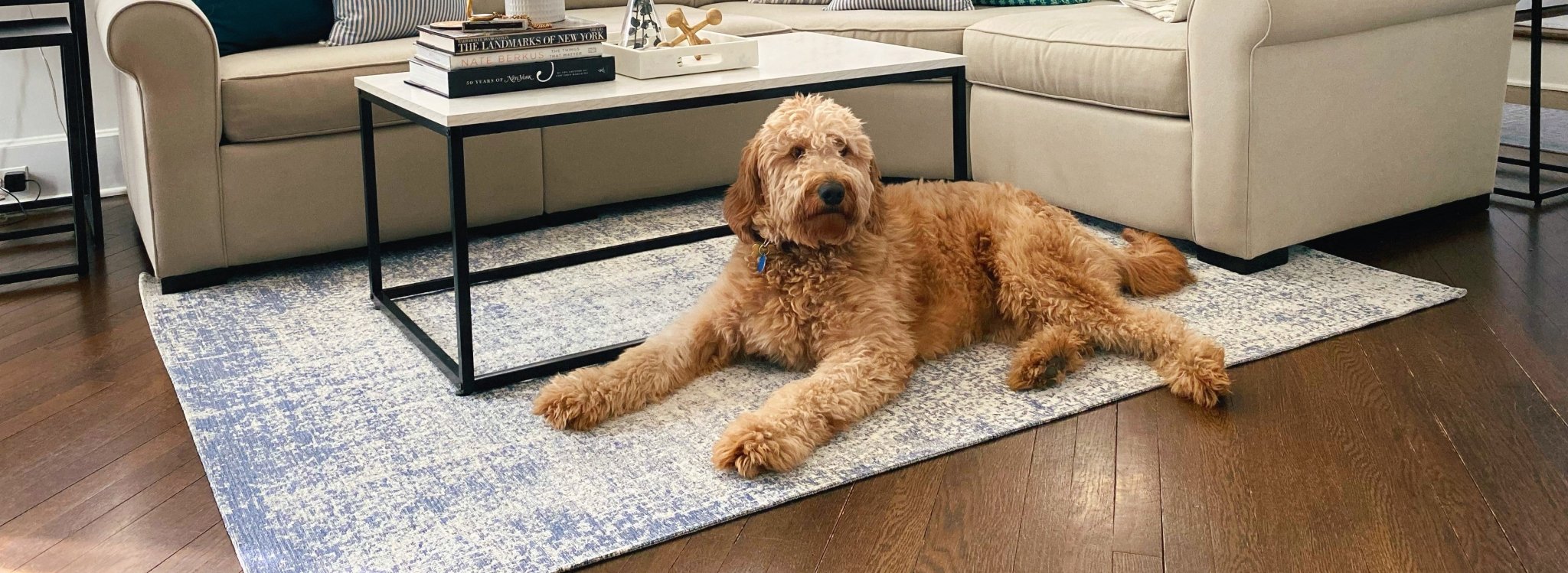 PET-TESTED, PAWS APPROVED: The Complete Guide to Pets & Rugs - Well Woven