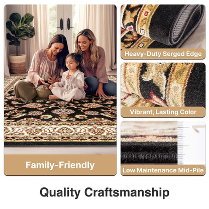 Sarouk Black Traditional Rug Well Woven