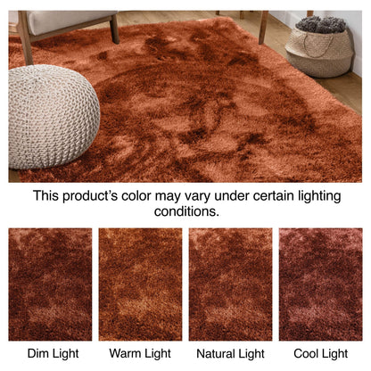 The Feather Collection Liza Terracotta Shag Rug under different lighting conditions