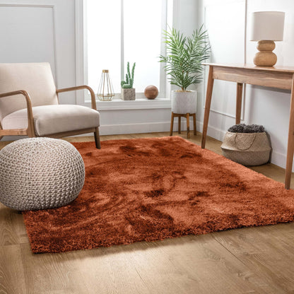 The Feather Collection Liza Terracotta Shag Rug in a seating area