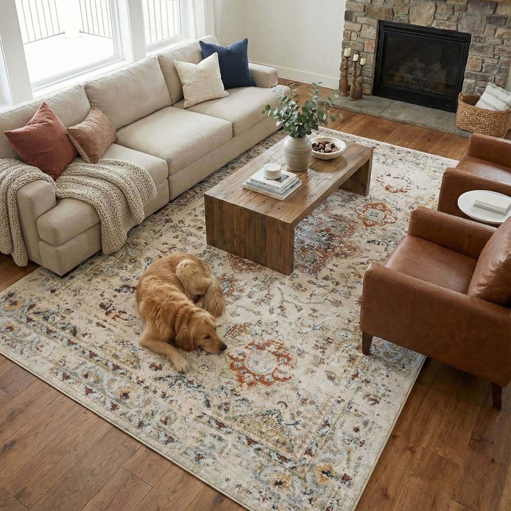 OM-122 – Living room with a beige sectional sofa, brown leather chairs, a cream vintage distressed rug with rust and gray accents, and a dog lying on the rug.