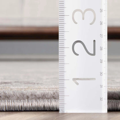 Fleur De Lis Grey Traditional Rug Well Woven