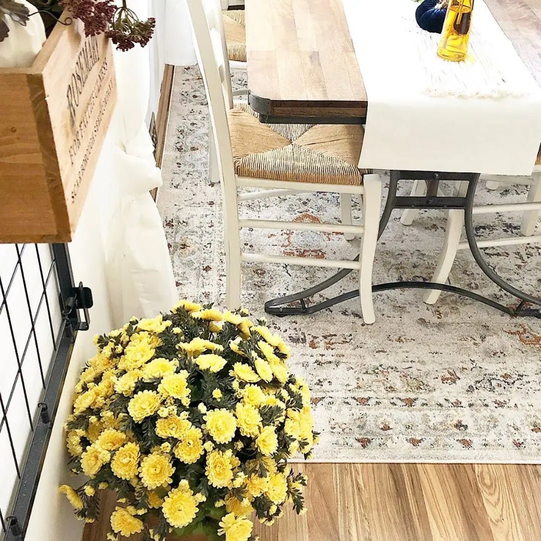 Kian Cream Vintage Panel Distressed Rug Well Woven