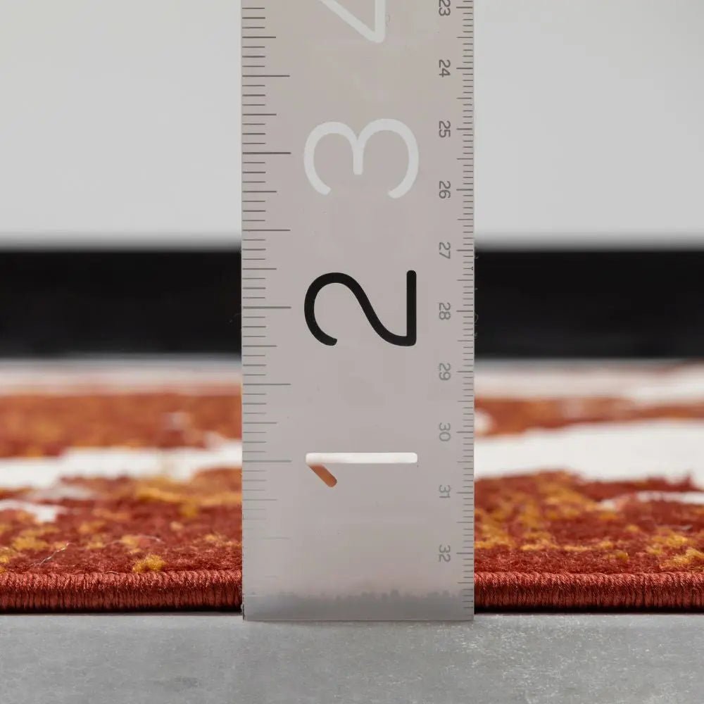 Arid Modern Medallion Persian Indoor/Outdoor Terracotta High-Low Rug Well Woven