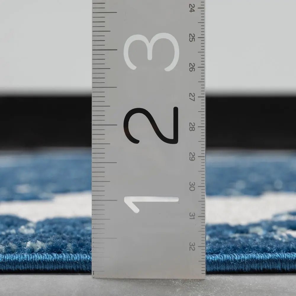 Arid Modern Medallion Persian Indoor/Outdoor Blue High-Low Rug Well Woven