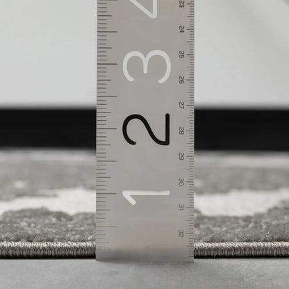 Arid Modern Medallion Persian Indoor/Outdoor Grey High-Low Rug Well Woven