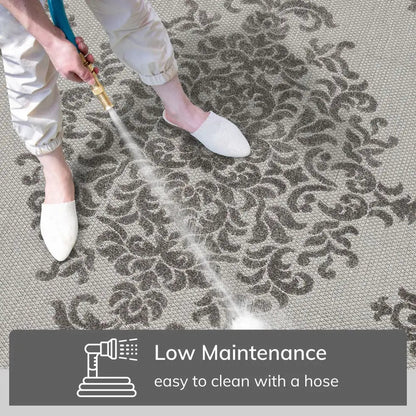 Arid Modern Medallion Persian Indoor/Outdoor Grey High-Low Rug Well Woven