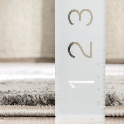 Selma Oriental Floral Pattern Grey Vintage Rug Well Woven