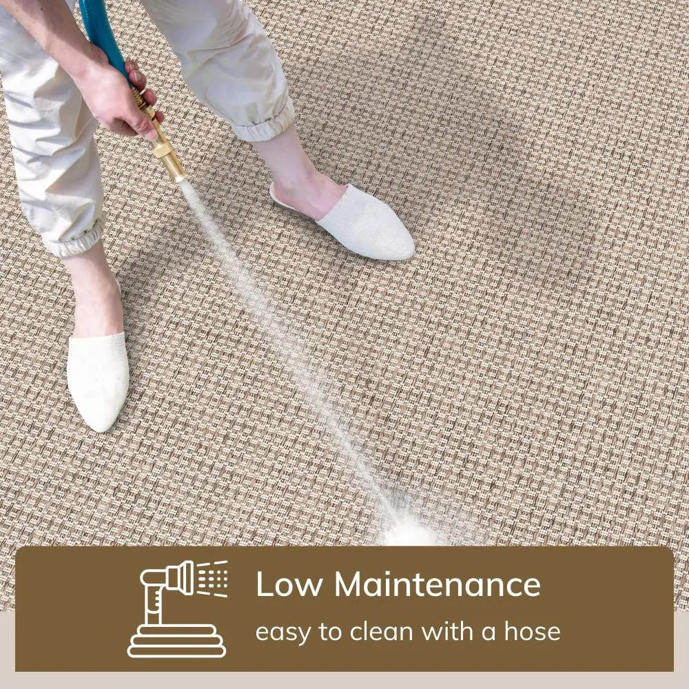 Odin Solid & Striped Border Indoor Outdoor Ivory Flatweave Rug Well Woven