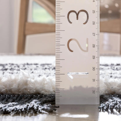 Adriel Tribal Solid Border Pattern Ivory High-Low Textured Pile Rug Well Woven