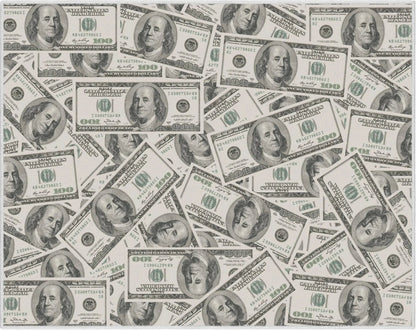 Classic Hundred Dollar Bill 2006A Stacked Green Area Flat-Weave Rug Well Woven