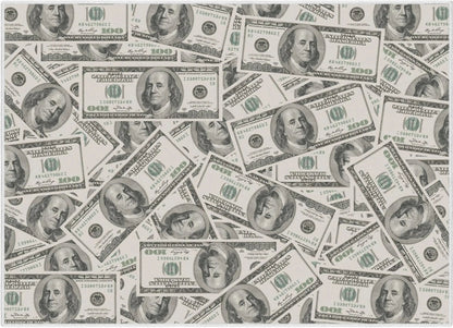 Classic Hundred Dollar Bill 2006A Stacked Green Area Flat-Weave Rug Well Woven