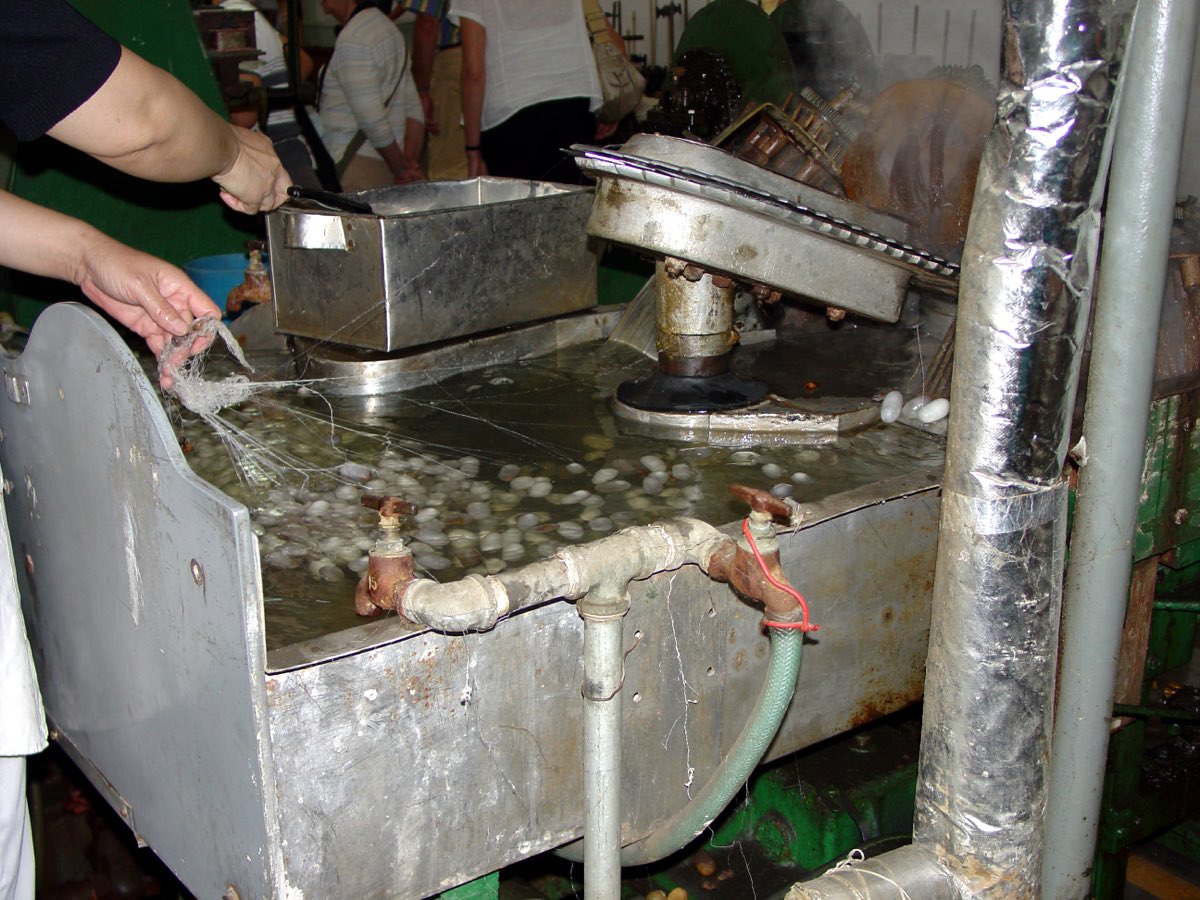 Silk thread being reeled from cocoons in Suzhou, China.