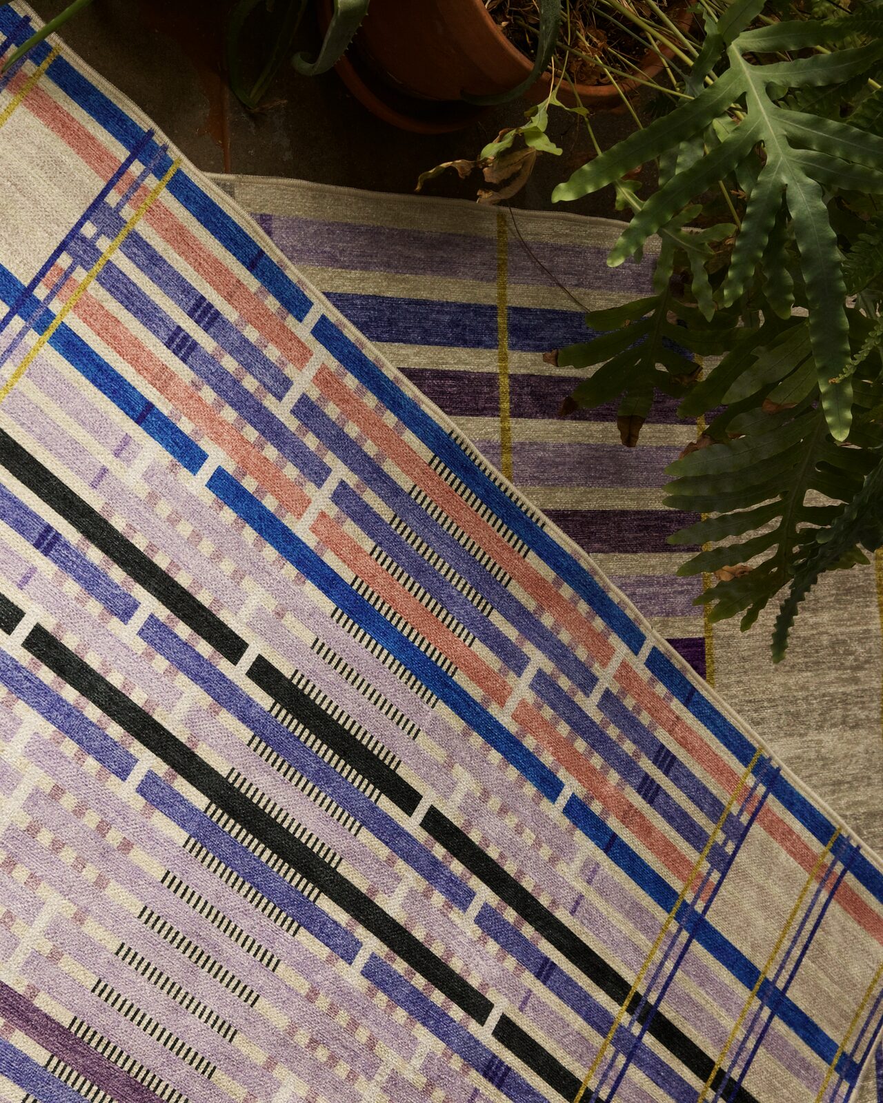 The Lavender colorway of Unraveling Stories, seen up close on a lived-in floor with a fern overhead